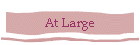 At Large