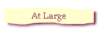 At Large