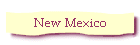 New Mexico