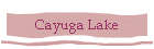 Cayuga Lake