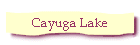 Cayuga Lake