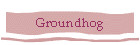 Groundhog