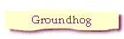 Groundhog